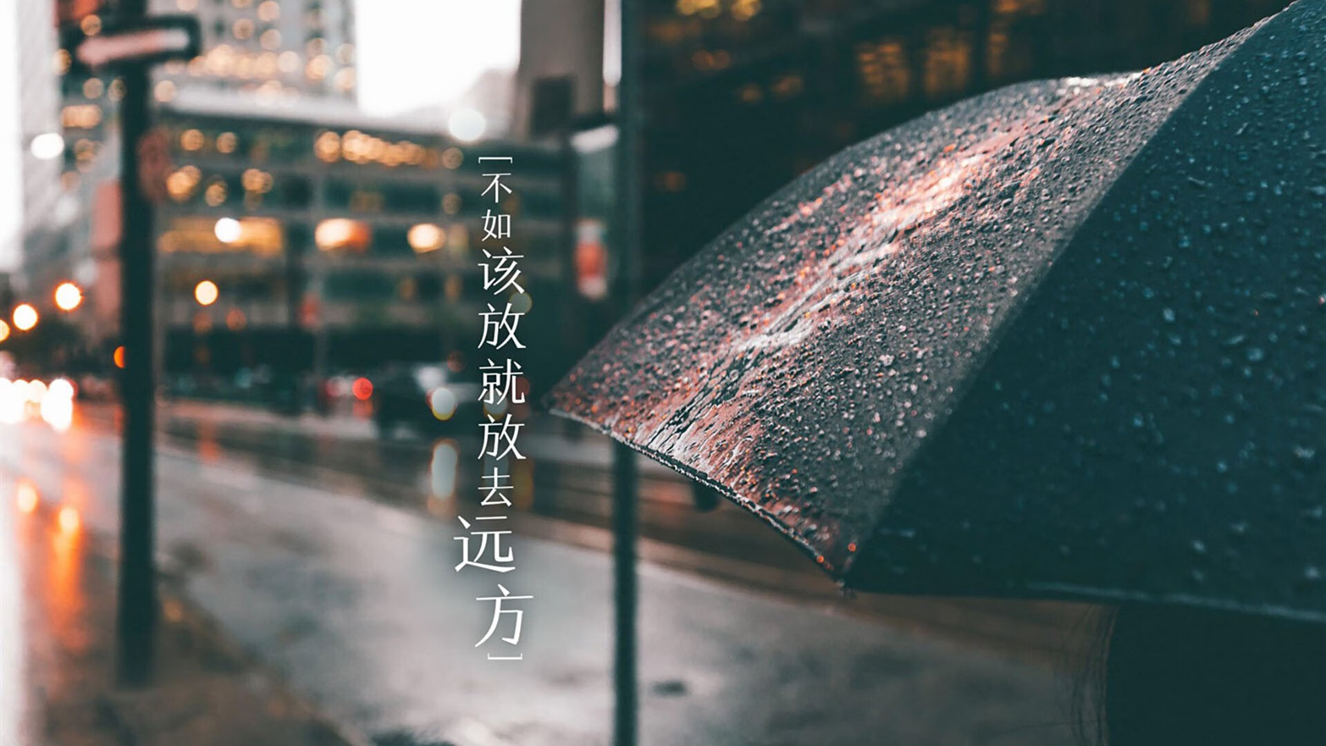开云下载-“球员的趣味爱好：场外明星的精彩故事”，球迷明星