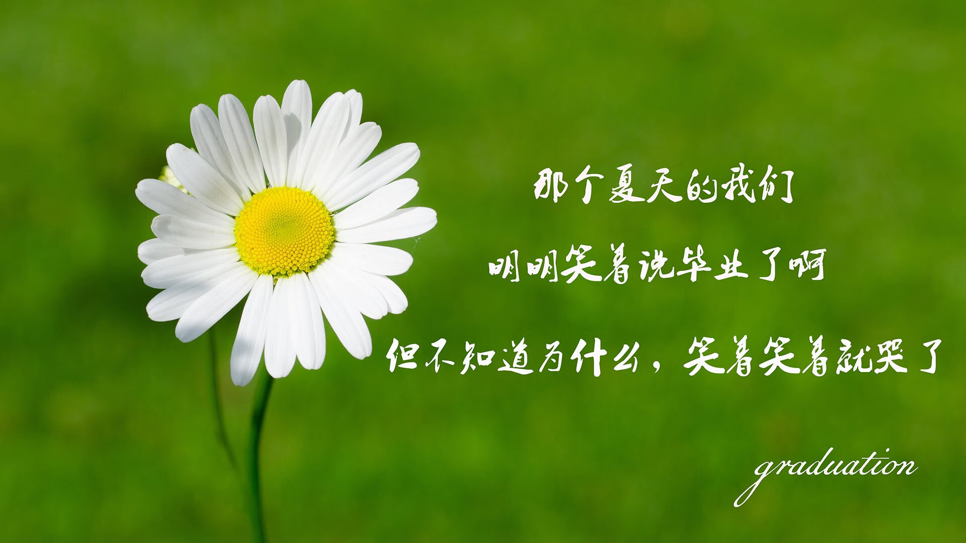 “超级王者”归来：谁是欧冠历史中的最强球员？，欧冠最厉害的球队