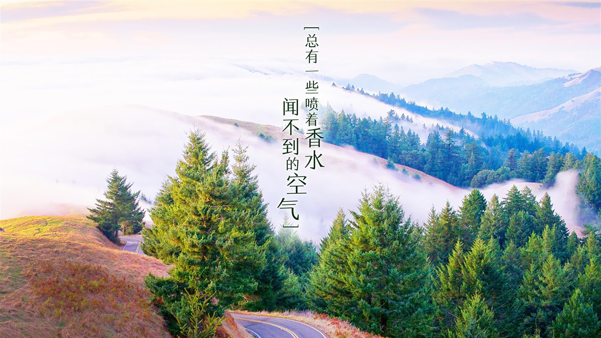 《英雄联盟》青训营：电竞新星的摇篮与残酷竞争，英雄联盟 青训