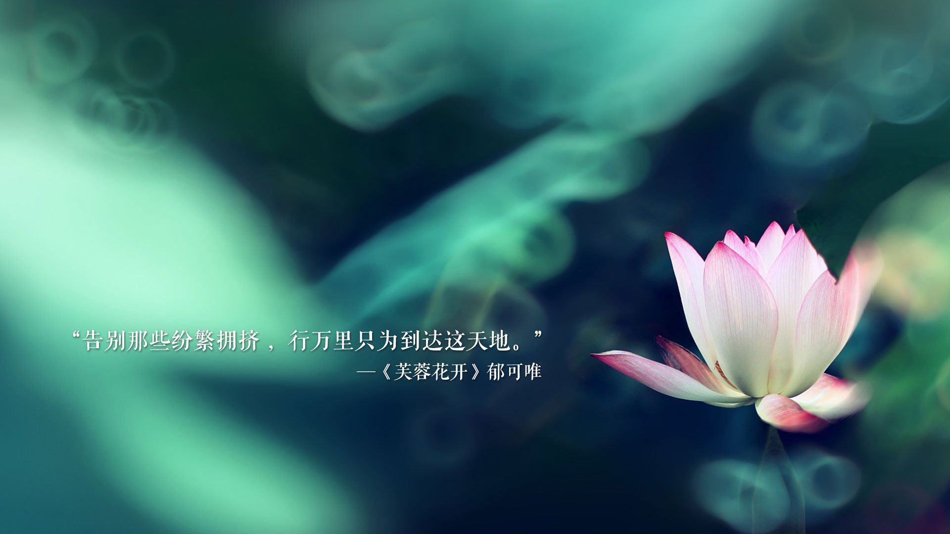史上最炫的职业赛季：谁的表现被评为“最精彩的十场”？，史上最强职业选手