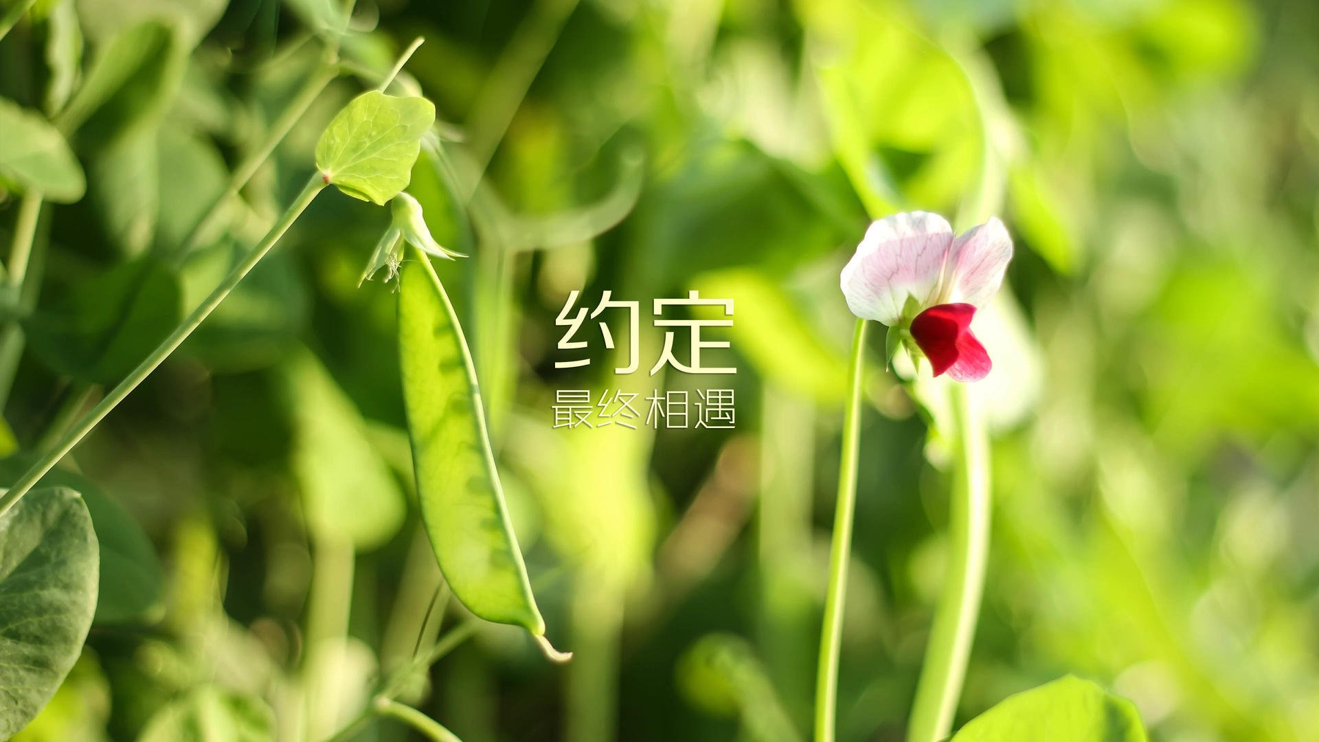 日本马术协会推出马术运动员健康管理系统，关注运动员身心健康。