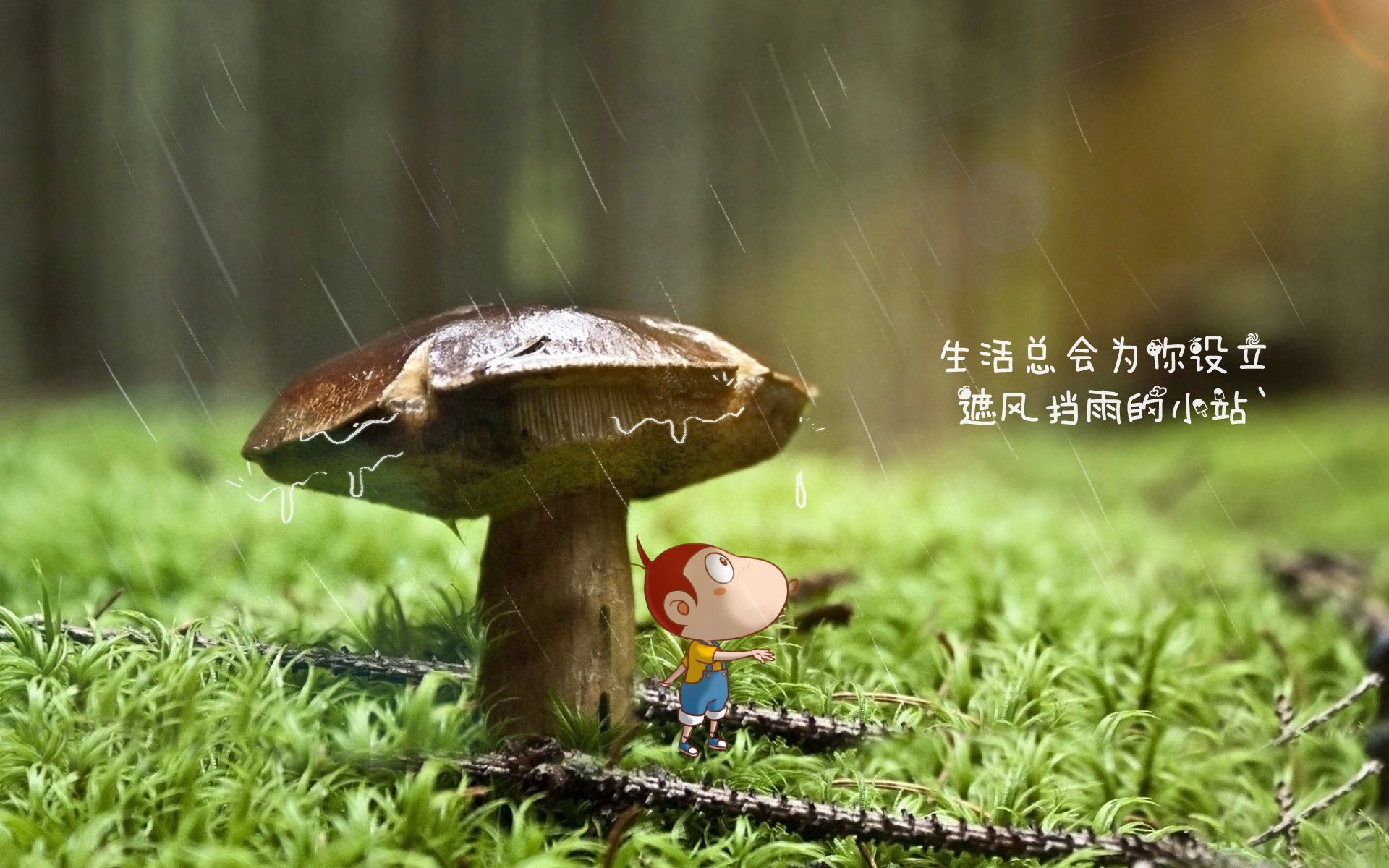 开云首页登录-多特蒙德宣布新援即将加盟，球迷期待新赛季表现，多特蒙德队球星