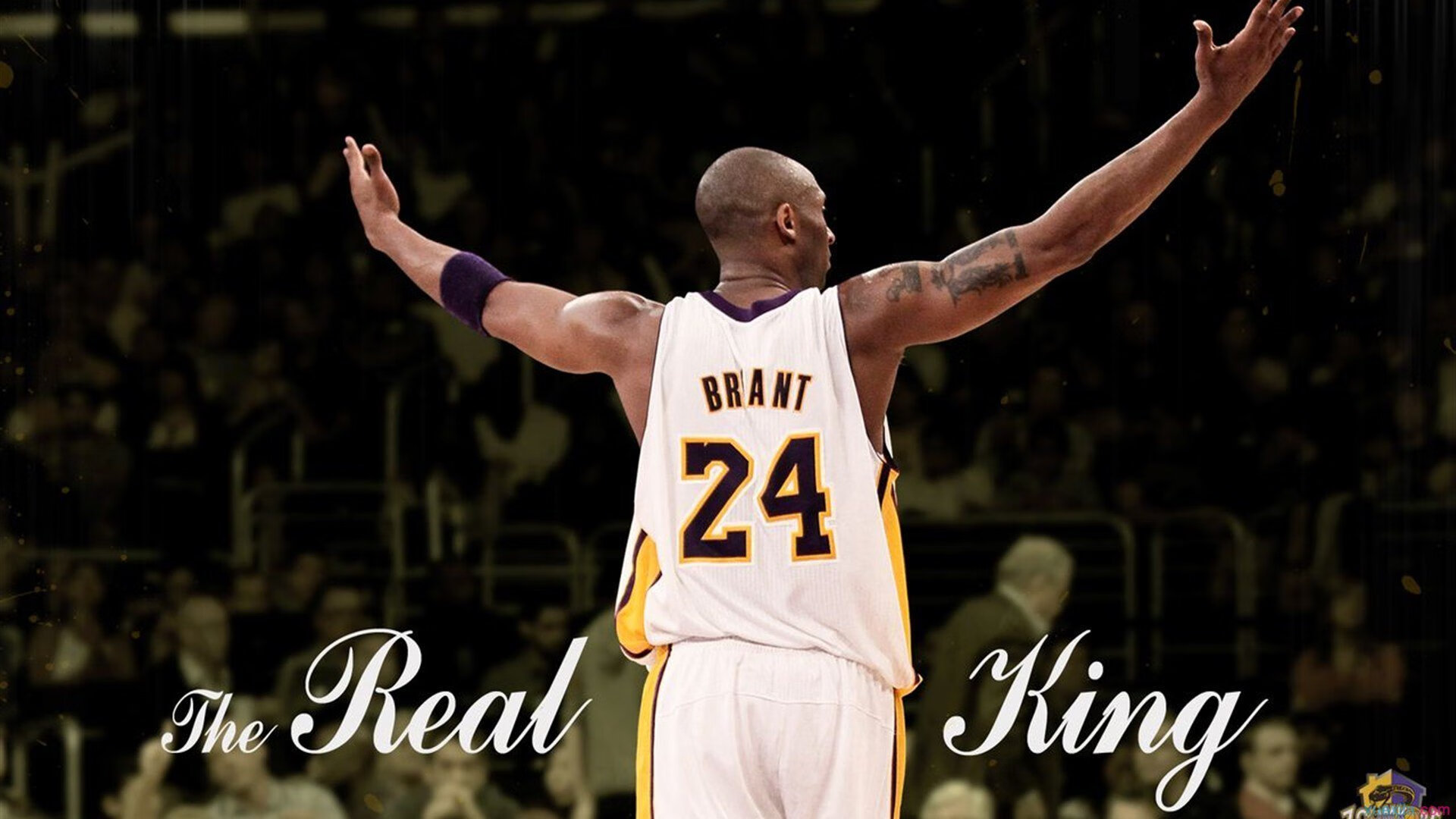 比赛画面：精彩瞬间合集，精彩不容错过！，比赛的精彩瞬间